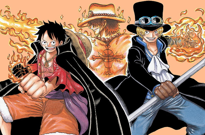 One Piece, Monkey D. Luffy , Portgas D. Ace , Sabo (One Piece), HD wallpaper