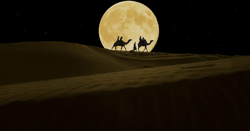graphy, Caravan, Bedouin, Camel, Desert, Moon, Night, HD wallpaper