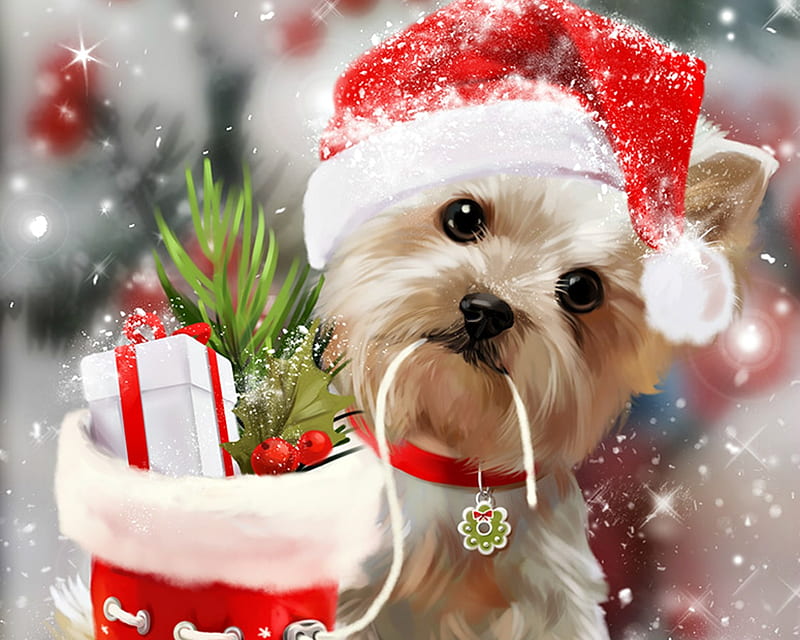 Merry Christmas!, red, art, lorri kajenna, luminos, craciun, christmas, yorkshire terrier, gift, winter, hat, santa, puppy, dog, HD wallpaper