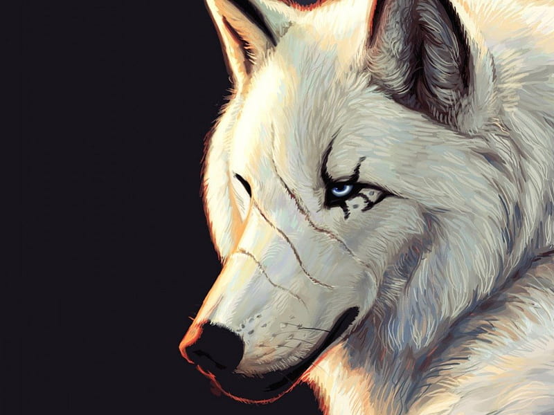 grey wolf painting