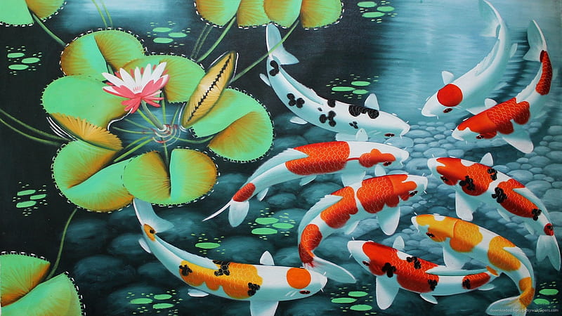 Koi, art, lotus, fish, orange, water, vara, green, pesti, flower, painting, summer, blue, HD wallpaper
