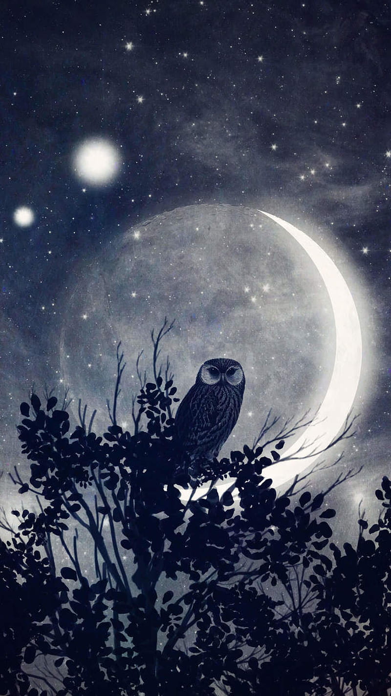 Night Owl, HD phone wallpaper
