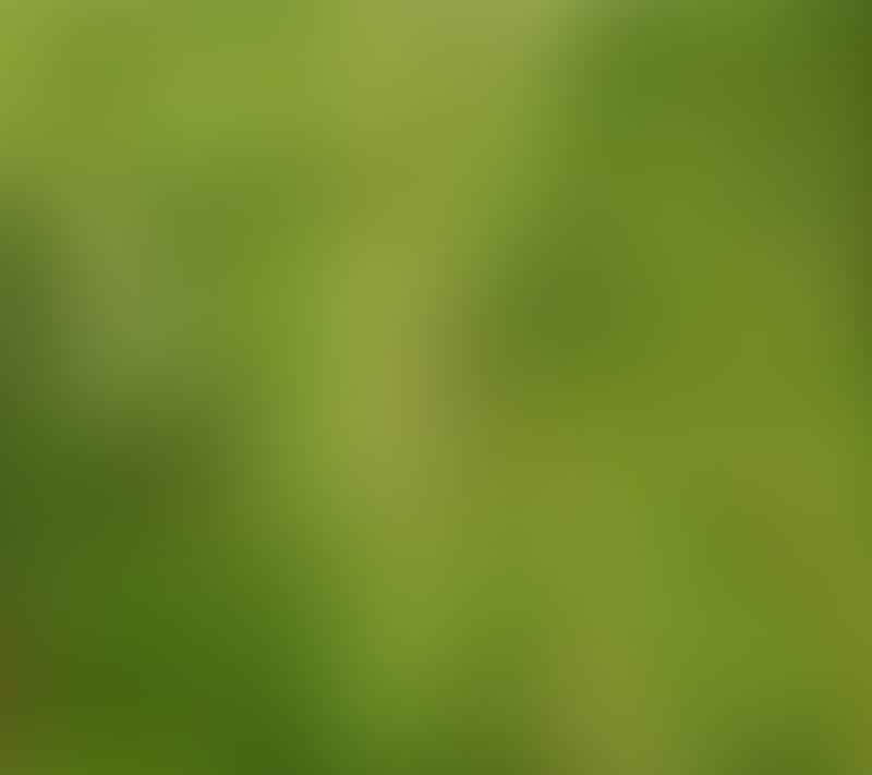 Blurry Green Tint, blured, blurry background, green tint, HD wallpaper