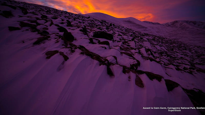 Purple Mountain, Europe, purple, Great Britain, cairn, Scotland, sunrise, HD wallpaper