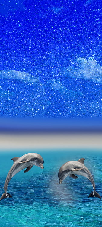 wallpaper iphone x | Underwater wallpaper, Dolphin images, Beautiful sea  creatures
