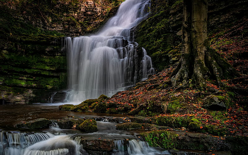 England, waterfalls, autumn, cliffs, beautiful nature, Durham, United Kingdom, Europe, HD wallpaper