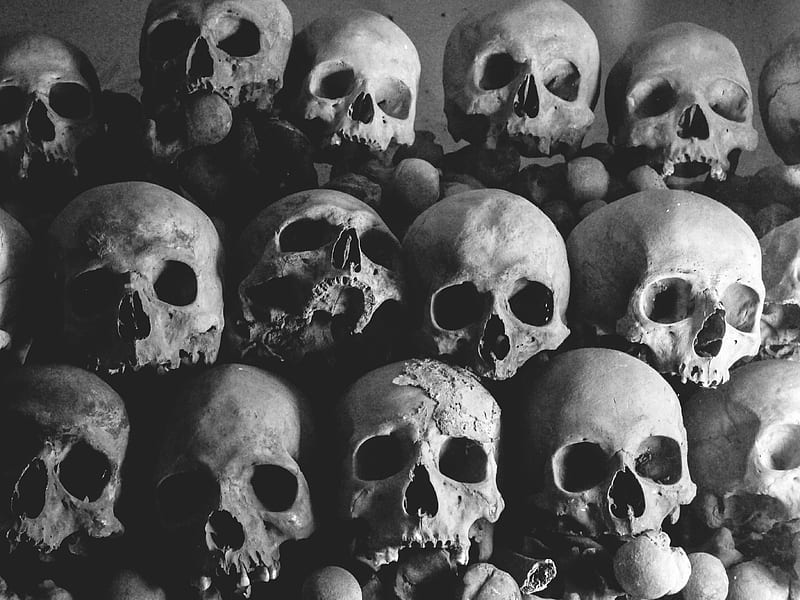 Pile Of Human Skulls, HD wallpaper
