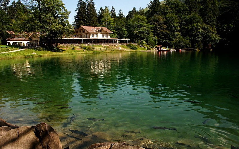 Beautiful Lake in Switzerland, lakes, travel, nature, forests, switzerland, HD wallpaper