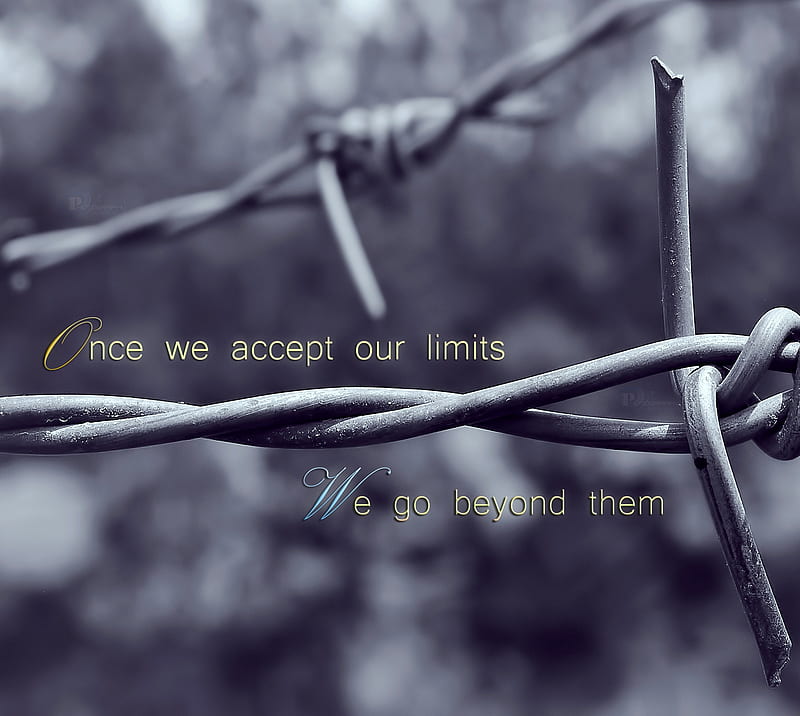 Limitless, barbed wire, life, quote, HD wallpaper