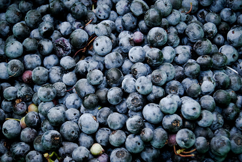 bowl of blueberries, HD wallpaper