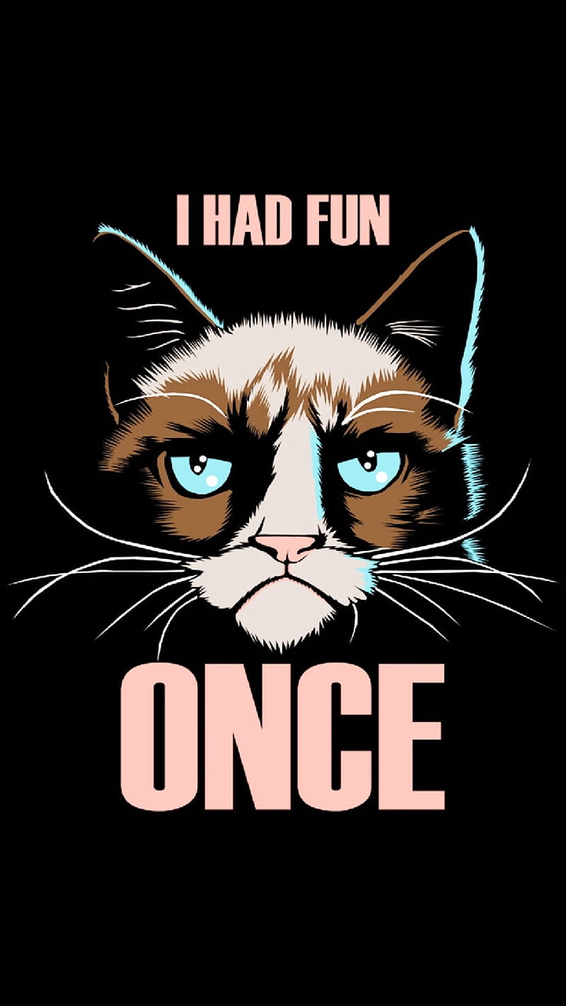 Fun, cat, pet, pouty, sadcastic, feline, saying, HD phone wallpaper