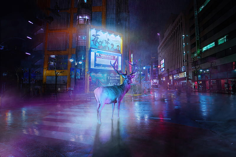 Lost Deer , deer, reindeer, artist, artwork, digital-art, HD wallpaper