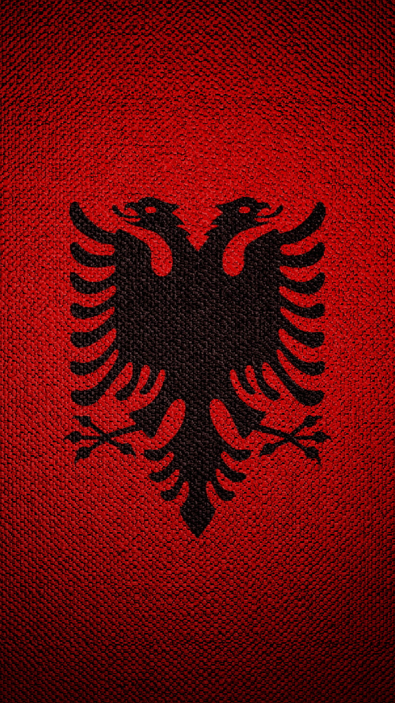 ALBANIA, Erik, albanian, erik halilaj, erikhalilaj, flamurishqiptar, kosova, kosovo, shqip, shqipe, shqiperi, skenderbeu, HD phone wallpaper