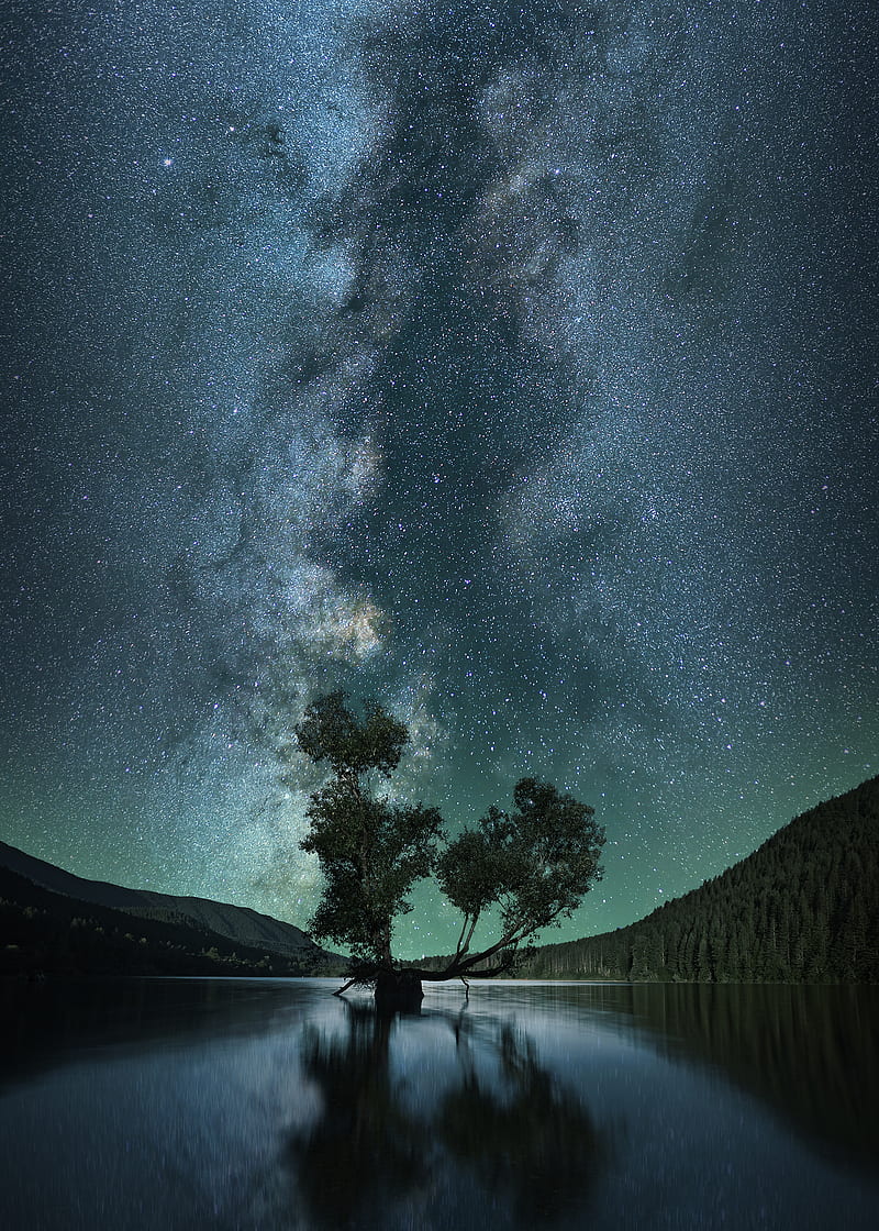 green leafed tree on body of water under starry sky, HD phone wallpaper