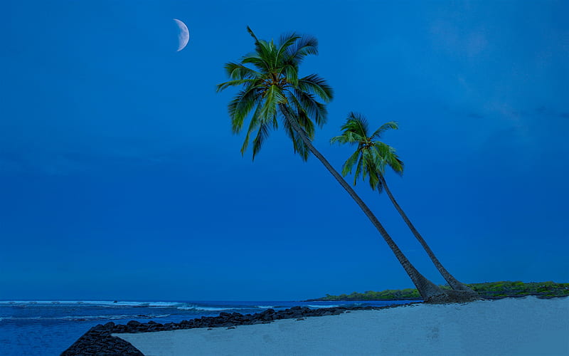 Pacific Ocean, evening, sunset, palm trees, coast, Hawaii, beach, USA, ocean, HD wallpaper