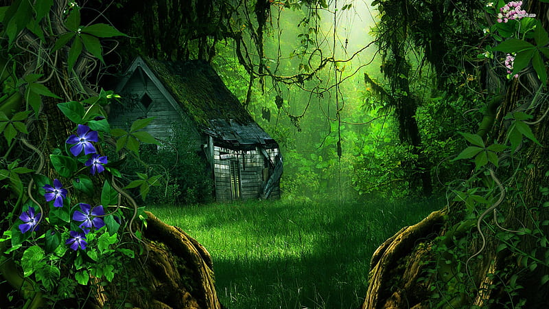 Fantasy Forest, forest, house, abandon, fantasy, green, flowers, morning,  glories, HD wallpaper | Peakpx