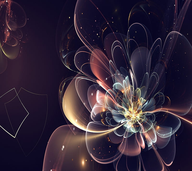 3d Abstract flower, amazing, cool, HD wallpaper