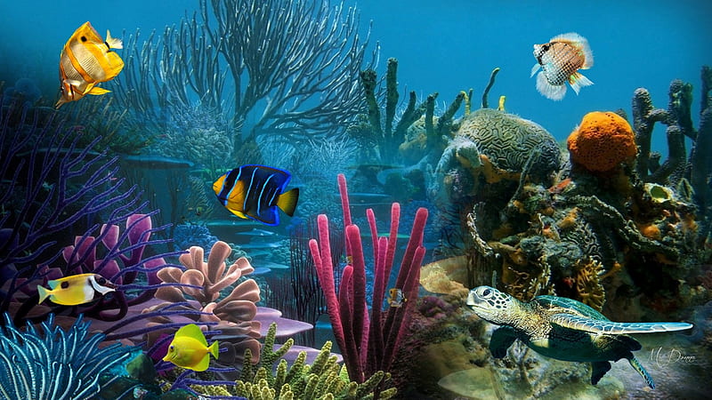 Undersea Beauties, fish, plants, coral, sea, blue, HD wallpaper