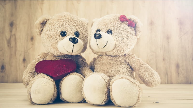 romantic teddy