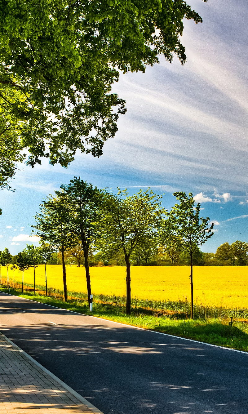 Landscape, colors, road, sky, summer, view, HD phone wallpaper | Peakpx