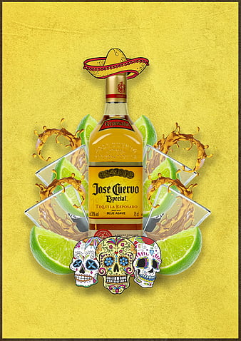 HD tequila mexico wallpapers  Peakpx