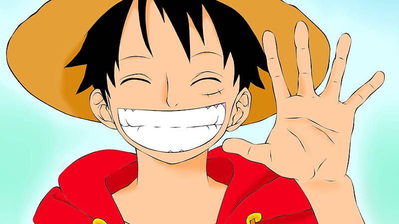 Luffy Smile Wallpaper HD Anime 4K Wallpapers Images Photos and  Background  Wallpapers Den