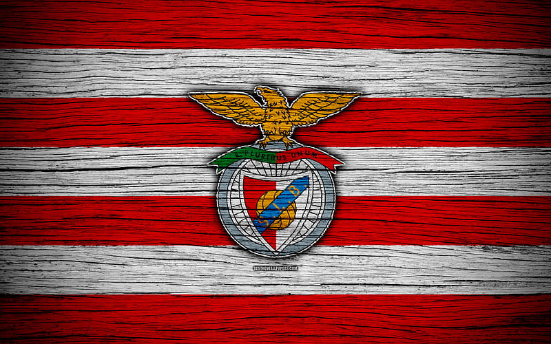 SL Benfica, emblem, lisboa, logo, sport, wooden, HD wallpaper