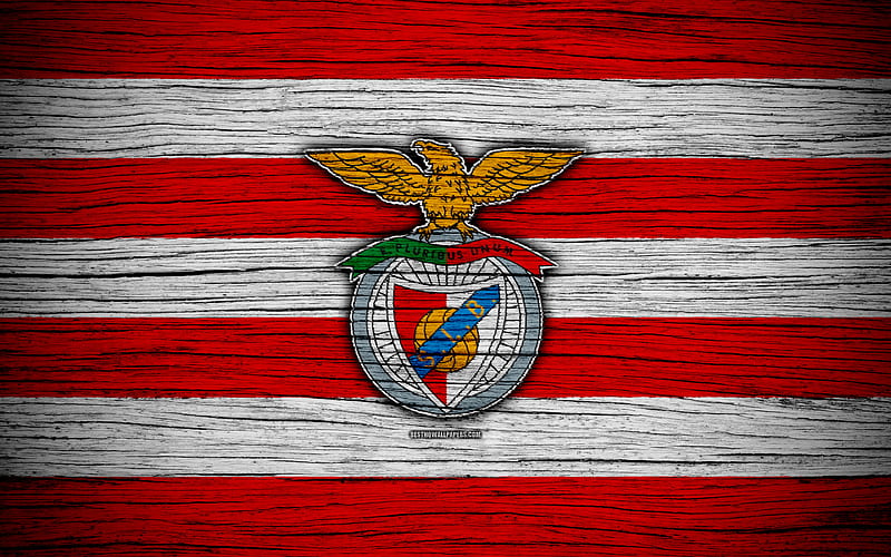 SL Benfica, emblem, lisboa, logo, sport, wooden, HD wallpaper SL Benfica, emblem, lisboa, logo, sport, wooden, HD wallpaper