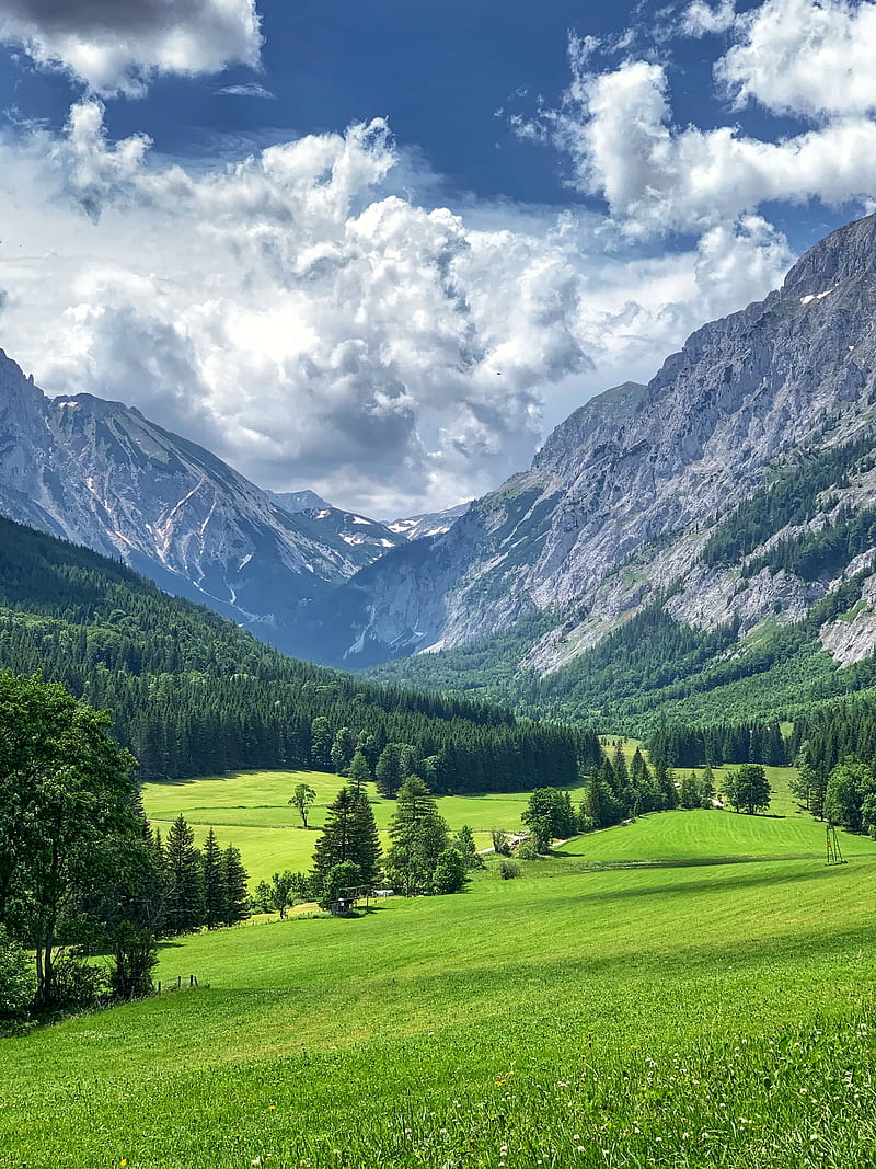 Mountains, valley, trees, grass, landscape, green, HD phone wallpaper |  Peakpx