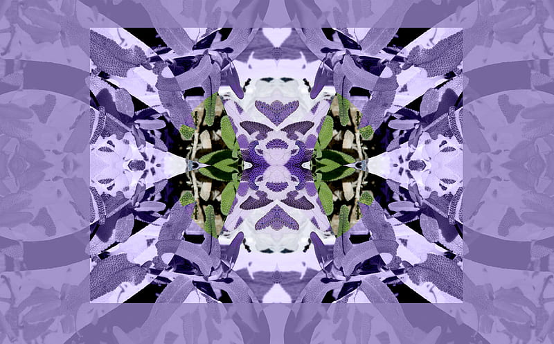 Sage with Lavender Symmetry Art Ultra, Artistic, Abstract, Plants, Lavender, Symmetry, sage, HD wallpaper