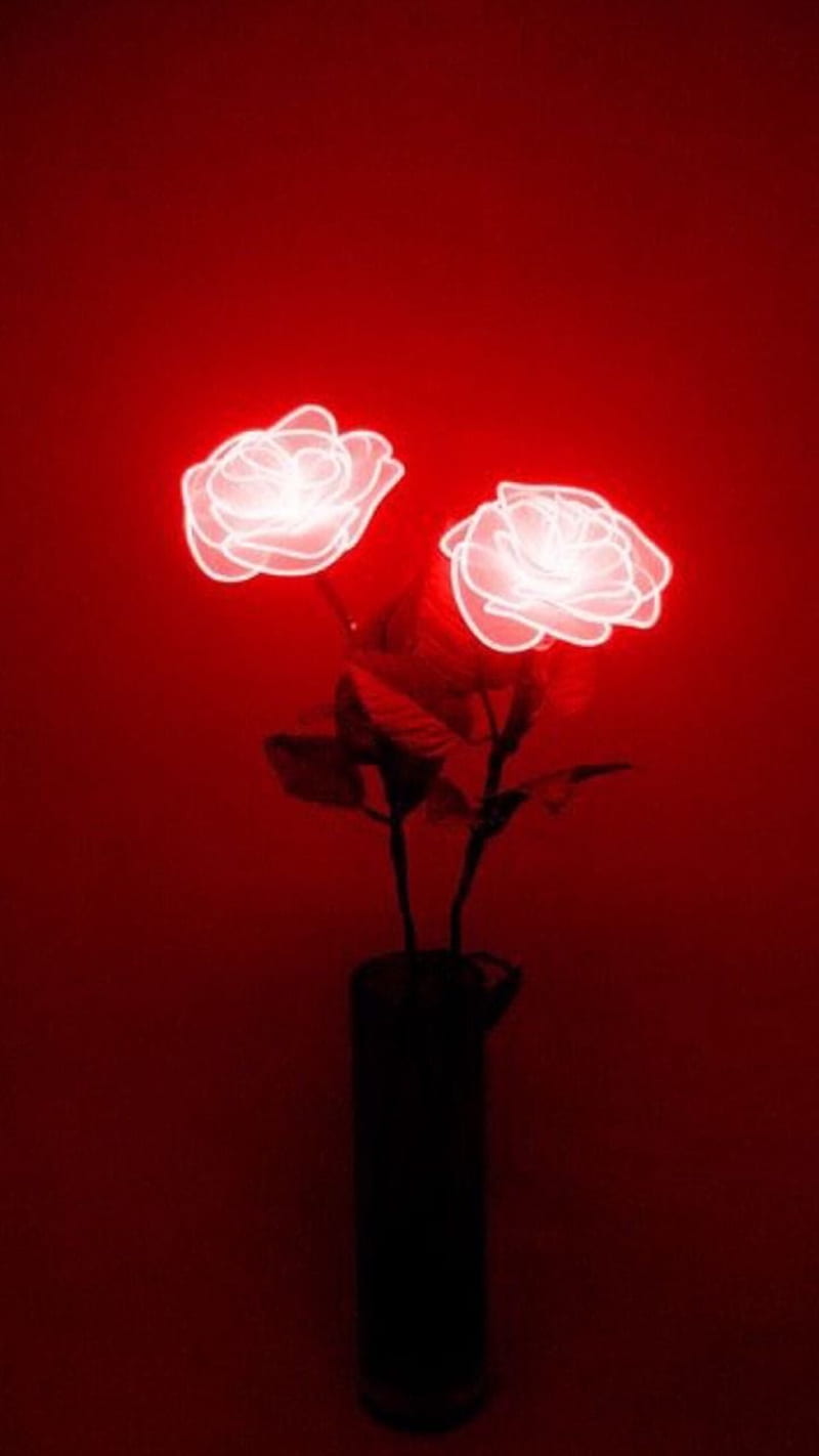 Red asthetic, fire, roses, sin, HD phone wallpaper