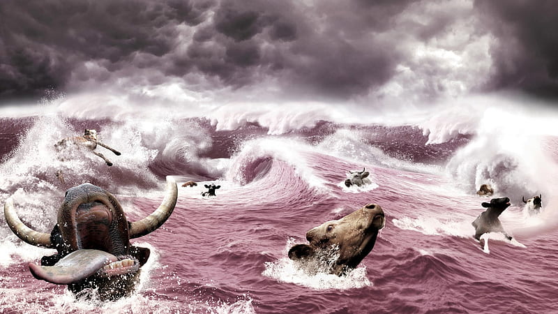 The storm, cow, creative, storm, situation, animal, sea, vara, fantasy, water, summer, vaca, pink, HD wallpaper