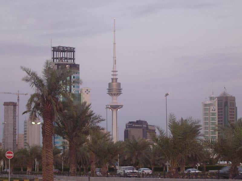 Kuwait City, carros, tree, foreign, green, gris, scenery, HD wallpaper