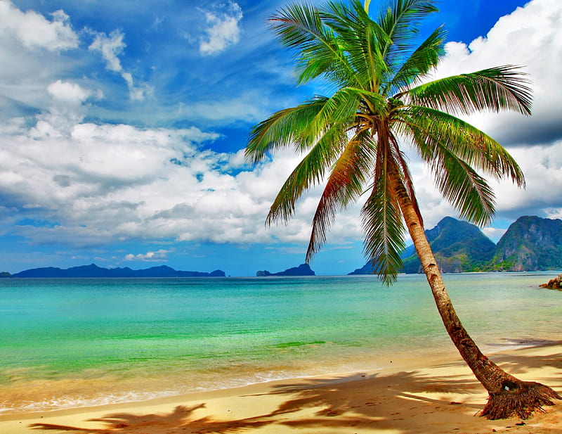 Tropical Beach Vacation Ocean Palm Emerald Sky Sea Beach Sand Paradise Hd Wallpaper