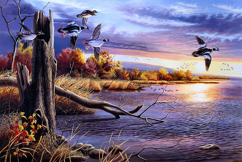 Autumn Waters, painting, ducks, sunset, lake, artwork, landscape, HD wallpaper