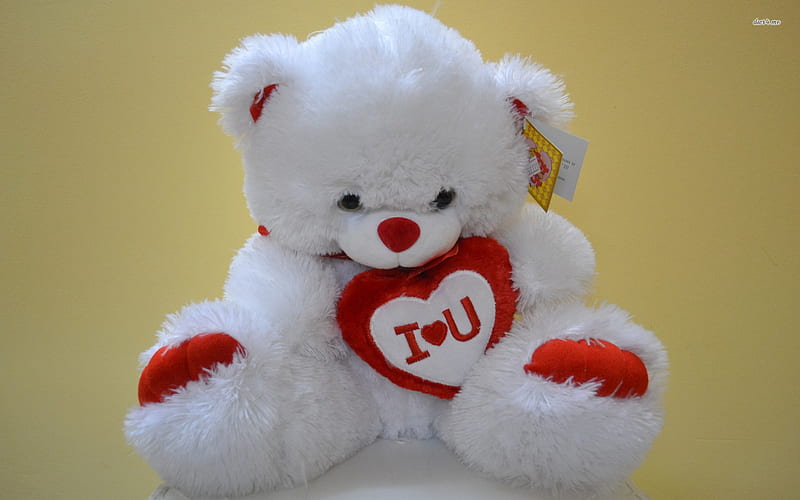 I love you teddy bear, bear, os, love, teddy, HD wallpaper | Peakpx