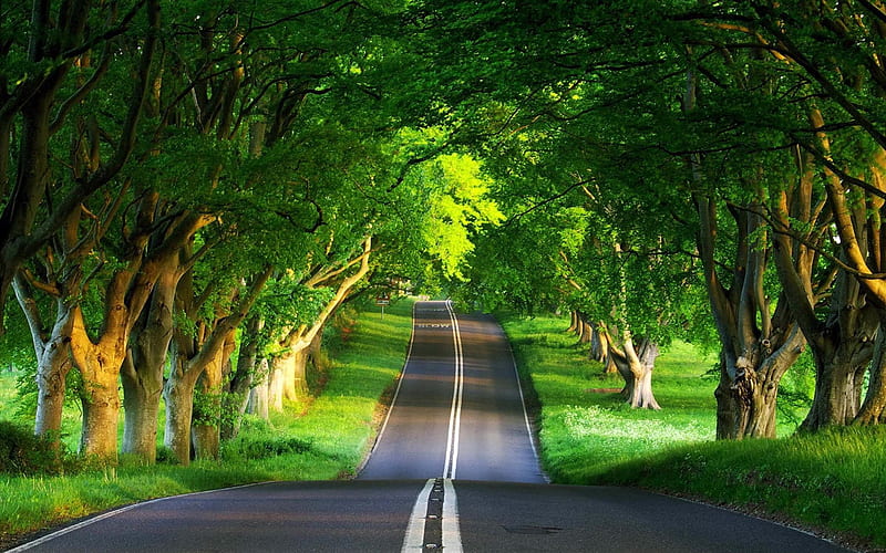 road summer-Beautiful natural scenery, HD wallpaper