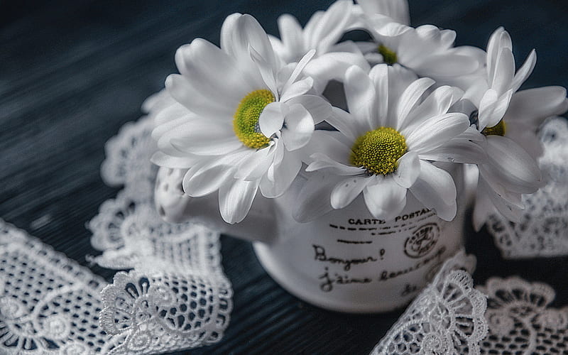 daisies, mug, white flowers, white lace fabric, macro, bokeh, white daisies, HD wallpaper