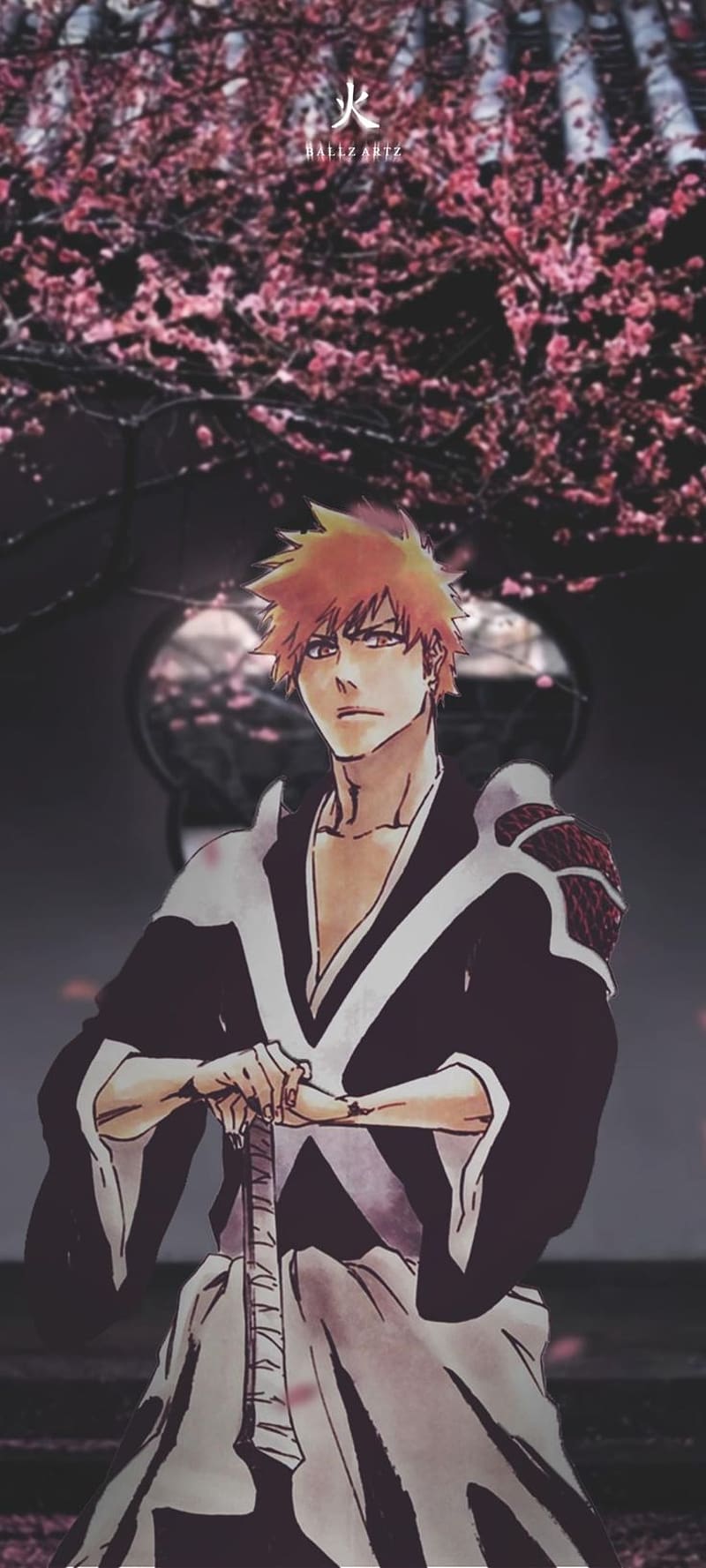 What chapter of the manga does the Bleach anime end on? - Quora