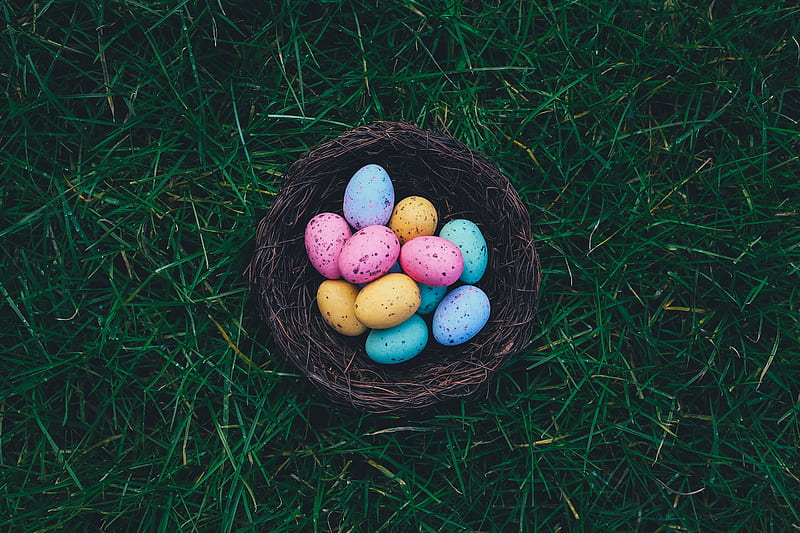Easter Eggs on brown nest, HD wallpaper