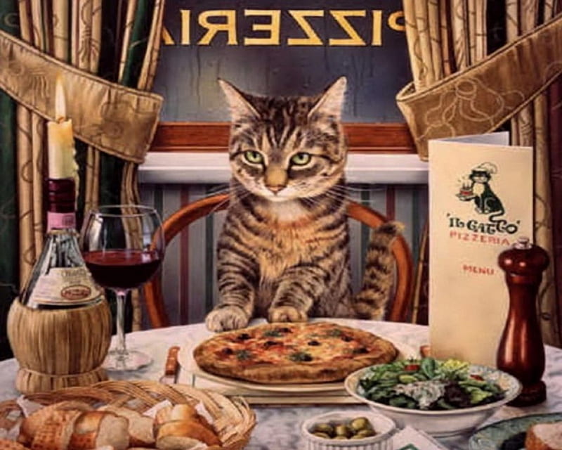 I LOVE PIZZA, pizza, cat, kitten, restaurant, HD wallpaper