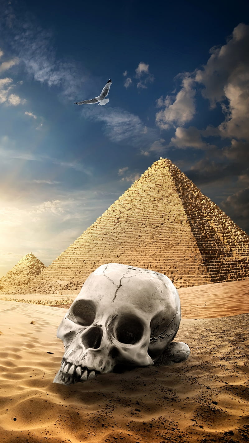 Ancient Egypt, bird, clouds, desert, egupt, pyramide, pyramids, sand,  skull, HD phone wallpaper | Peakpx