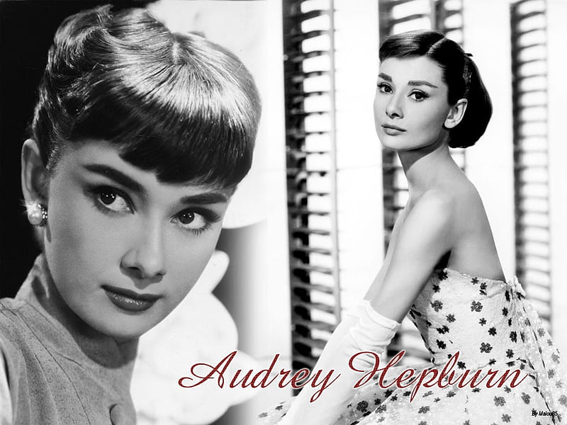 audrey hepburn, audrey, brunette, hepburn, girl, HD wallpaper