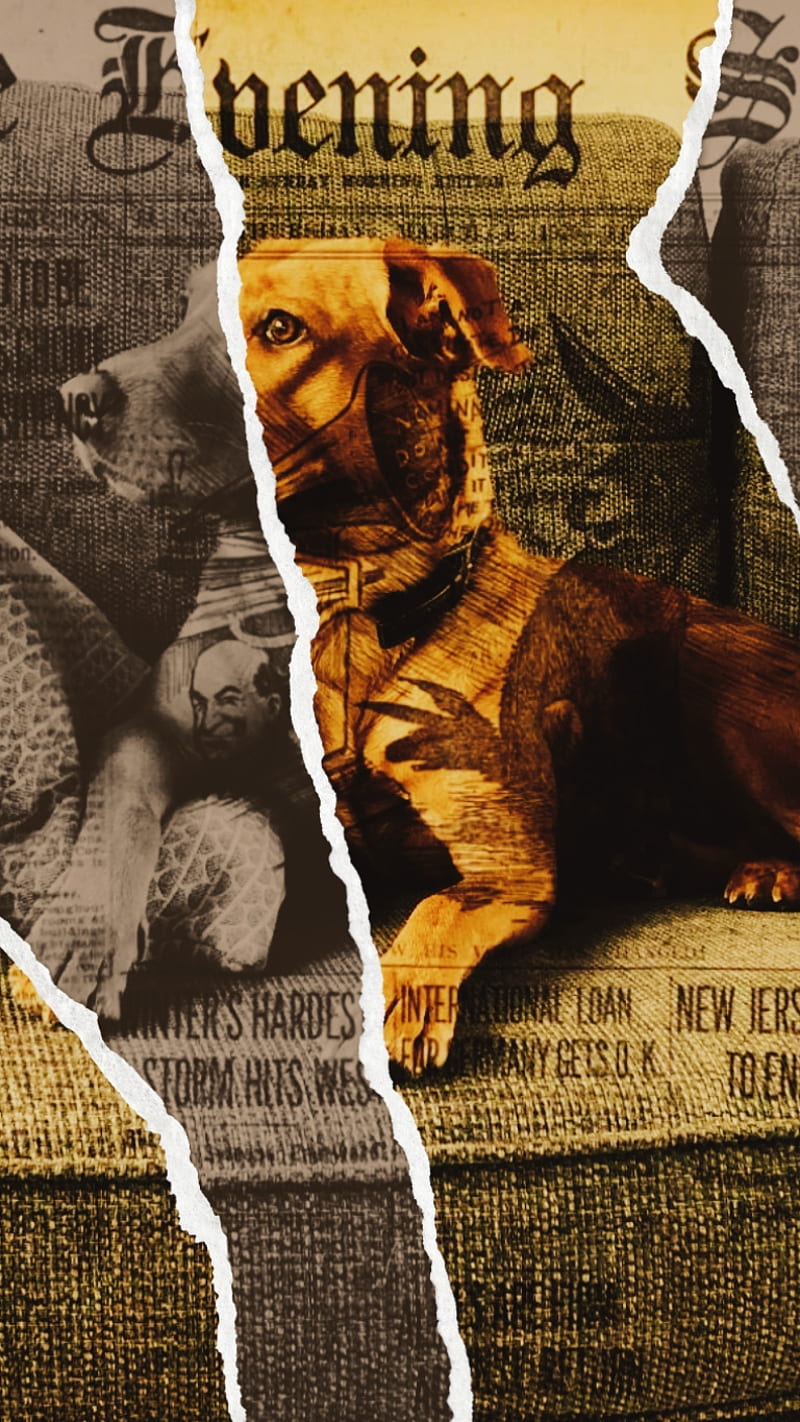 Old Style Doggo Animal Dog Edit Edits Newspaper Old School Hd Phone Wallpaper Peakpx