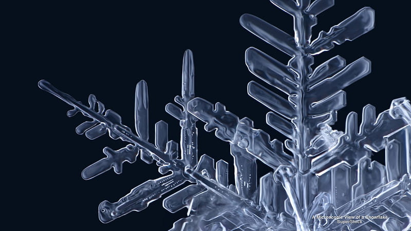 Snowflake under a Microscope, microscopic view, snowflake, graphy, abstract, HD wallpaper
