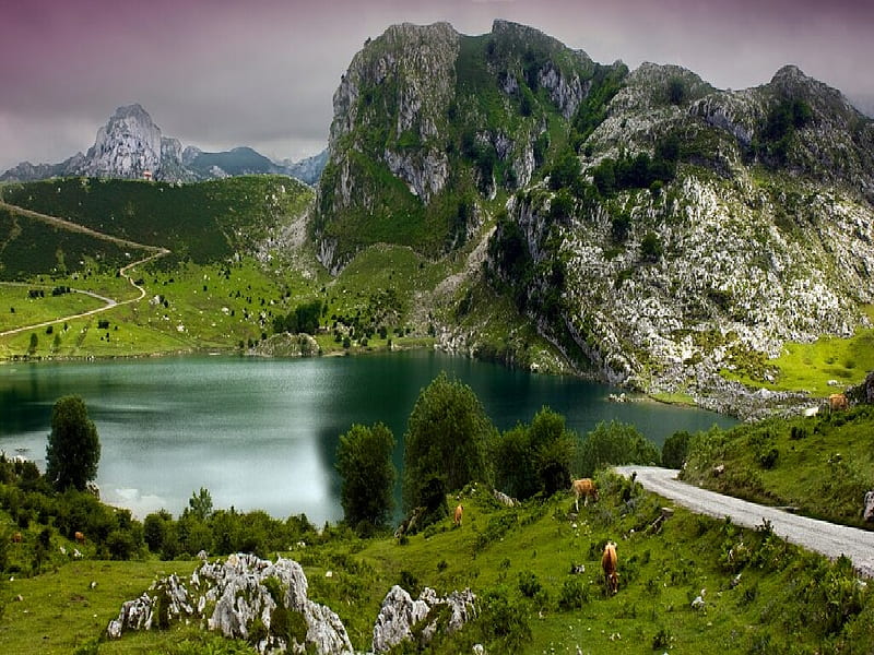 Lago Enol Picos de Europa Asturias Espaa Spain, europa, asturias, spain, HD wallpaper