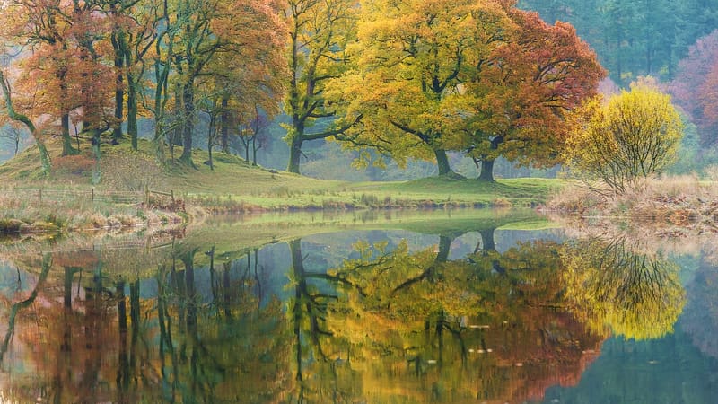 River Brathay On A Misty Morning, Cumbria, England, reflections, trees, water, mist, landscape, HD wallpaper