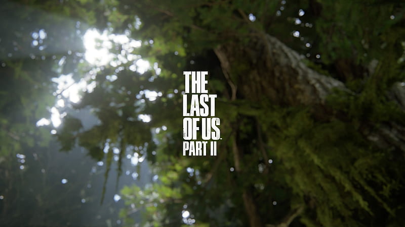 Wallpaper forest, fire, Naughty Dog, The Last of Us Part II for mobile and  desktop, section игры, resolution 1920x1080 - download