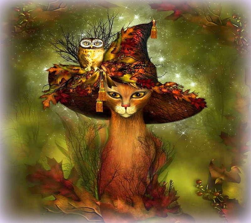 Autumn Cat, autumn, cat, HD wallpaper