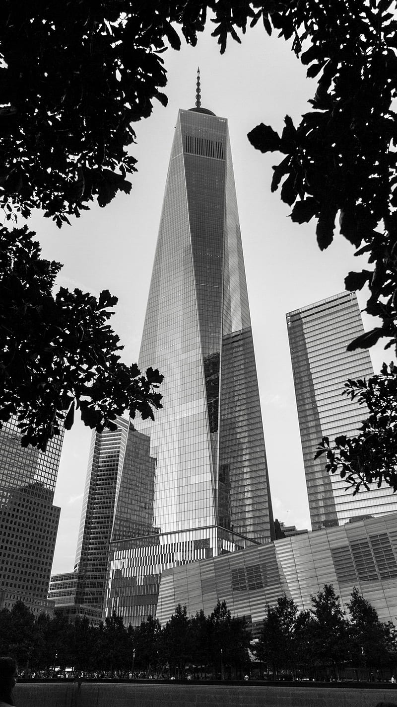 architecture, building, cityscape, skyscraper, city, portrait display, dom Tower, trees, New York City, USA, monochrome, leaves, One World Trade Center, gray, HD phone wallpaper